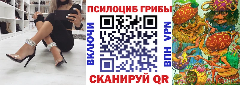 Галлюциногенные грибы Psilocybine cubensis  где купить   ОМГ ОМГ зеркало  Шали 